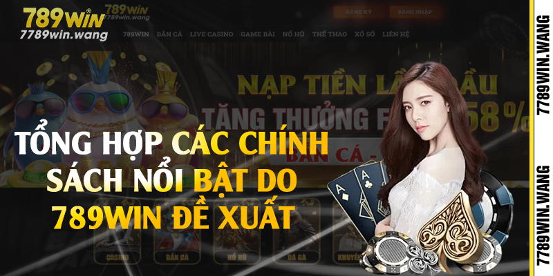 Tổng hợp các chính sách nổi bật do 789win đề xuất